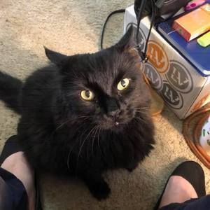 Meet your Posher, Dana